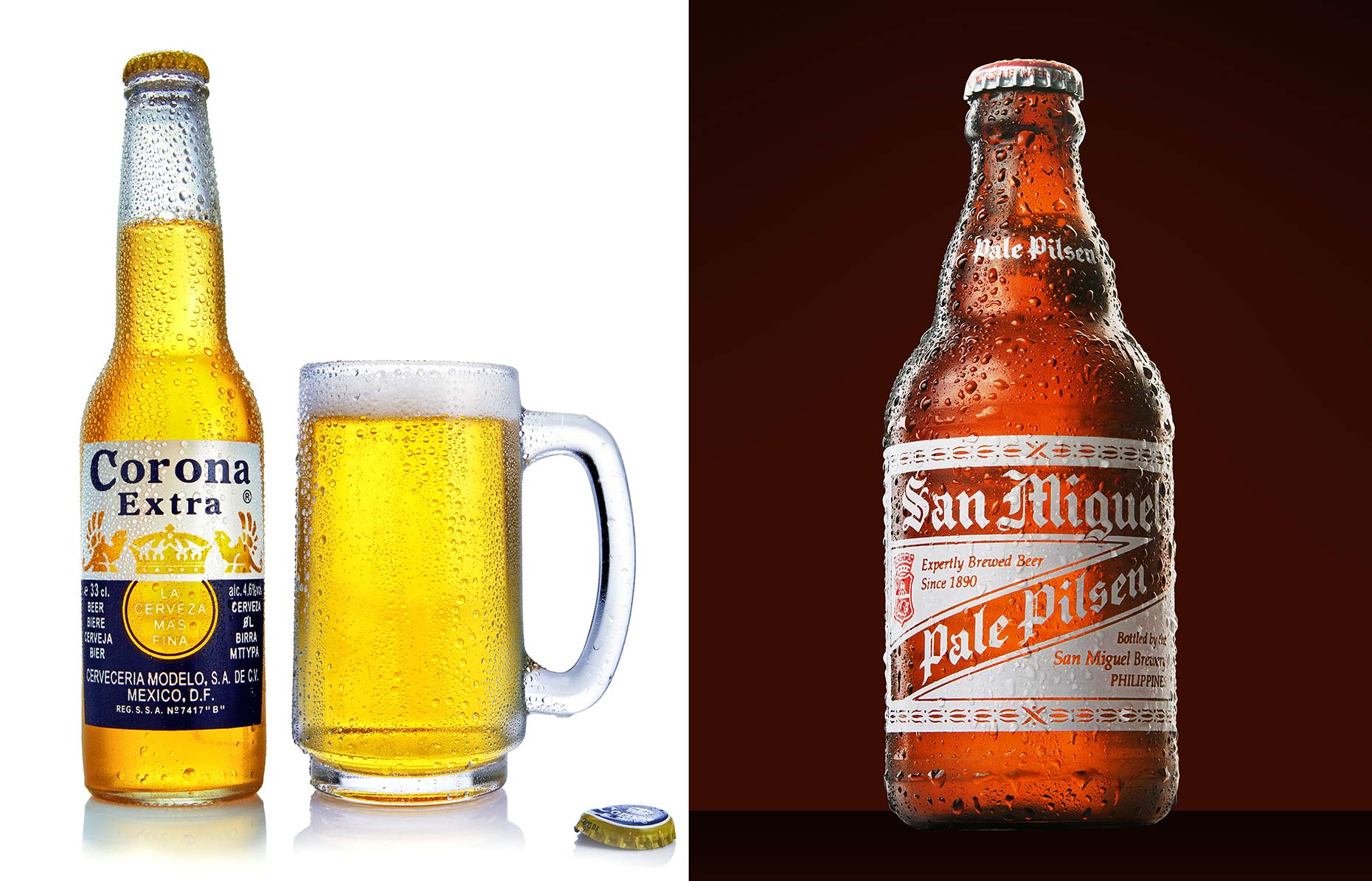 beer bottle photography 