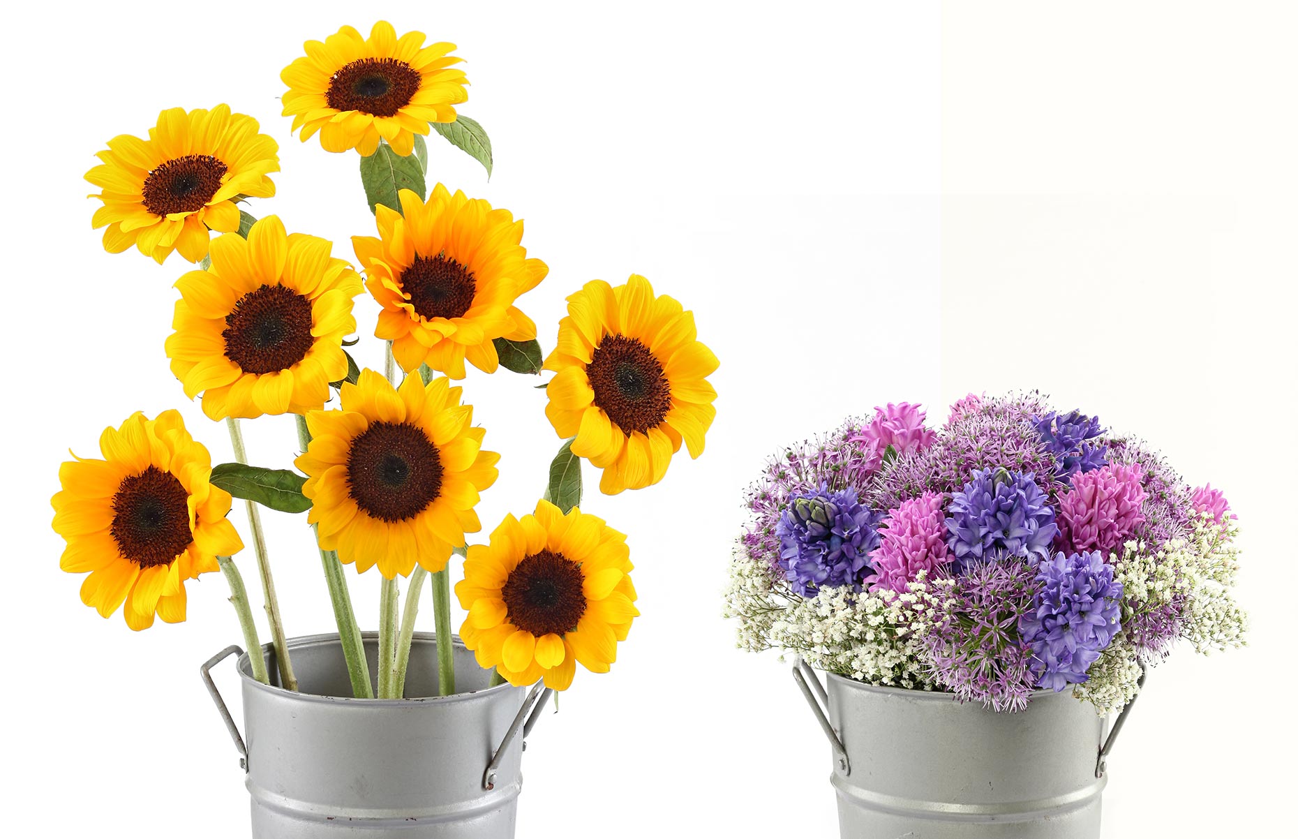 flowers-1w