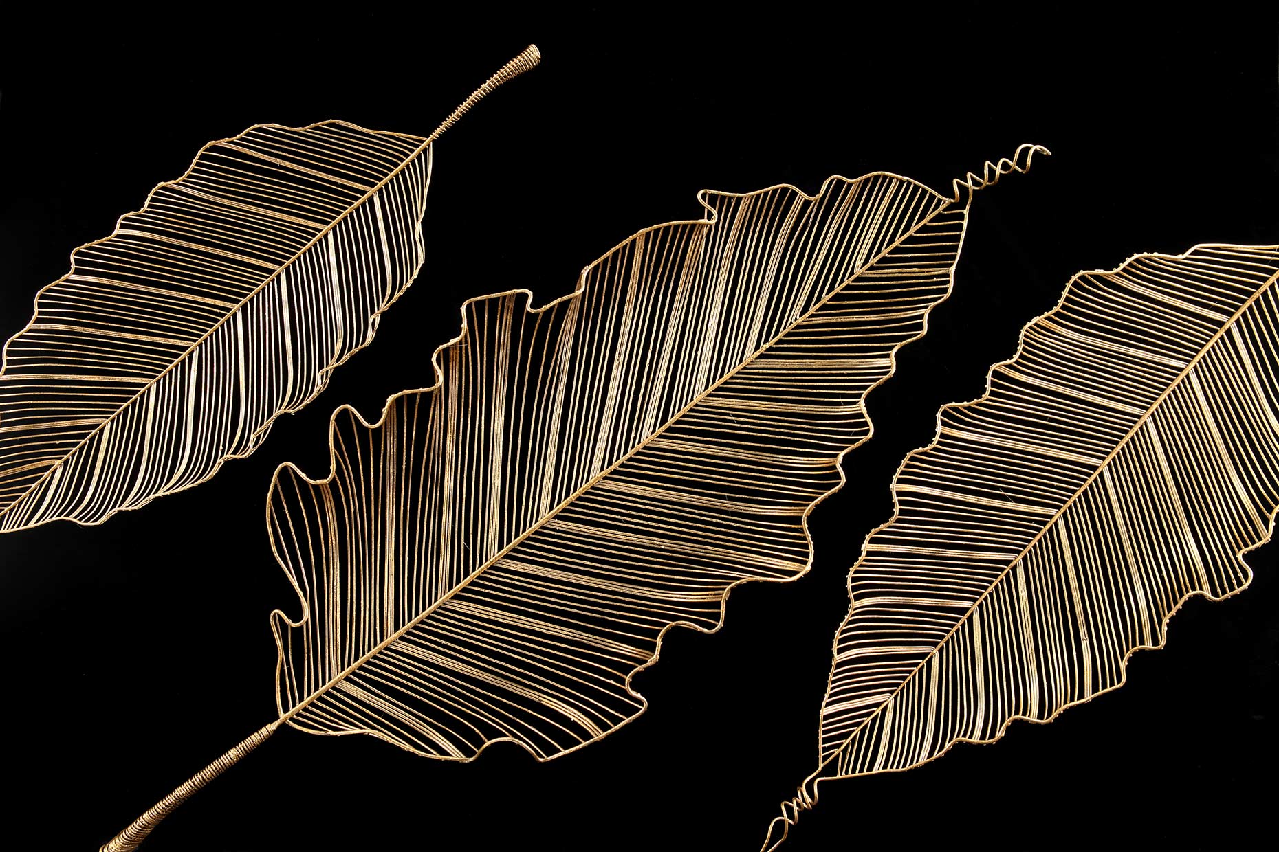 wire-trays